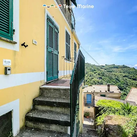 Sea Wall, Terre Marine San Bernardino